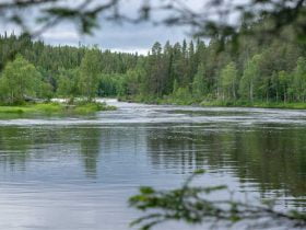 Foto de rio con arboles alrededor