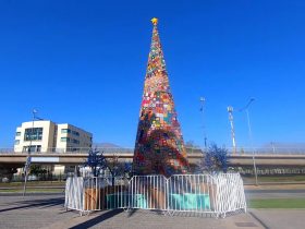 Árbol de navidad en Puente Alto, con cuadros tejidos