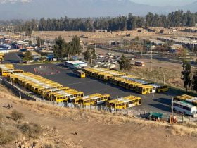 Buses en Puente Alto