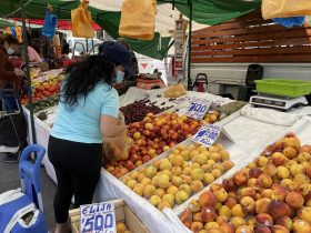 Foto de persona comprando fruta en feria libre de puente alto