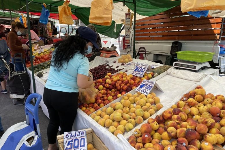 Foto de persona comprando fruta en feria libre de puente alto