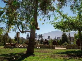 Foto de arboles en pueblito de las vizcachas