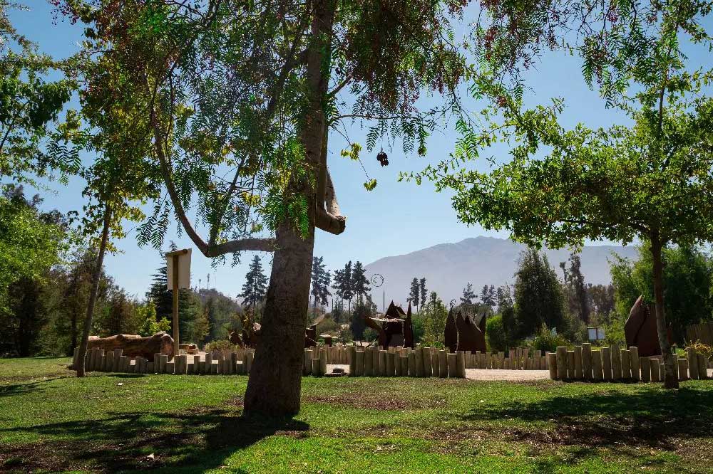 Foto de arboles en pueblito de las vizcachas
