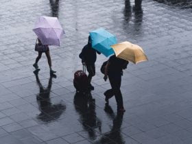 Foto de personas caminando con paraguas bajo la lluvia