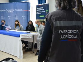 Foto de autoridades en reunión de la delegación provincial de cordillera