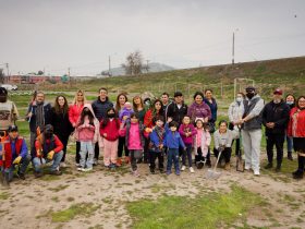 Foto de personas plantando árboles en terreno de Bajos de Mena