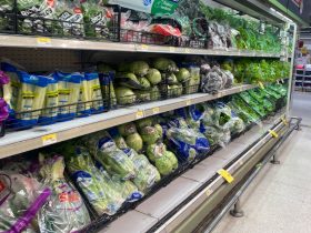 Foto de góndola con verduras en un supermercado