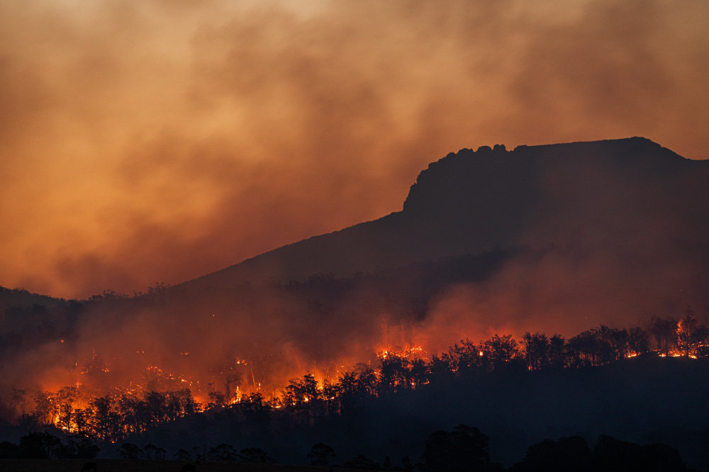 Foto de Incendio Forestal