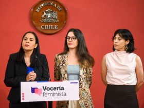 Foto de Ministra Vallejos