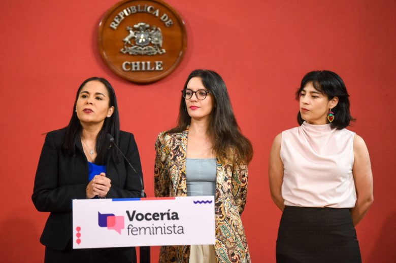 Foto de Ministra Vallejos
